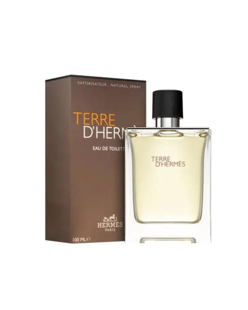 Terre D’Hermes Eau De Toilette 100 ML HERMES