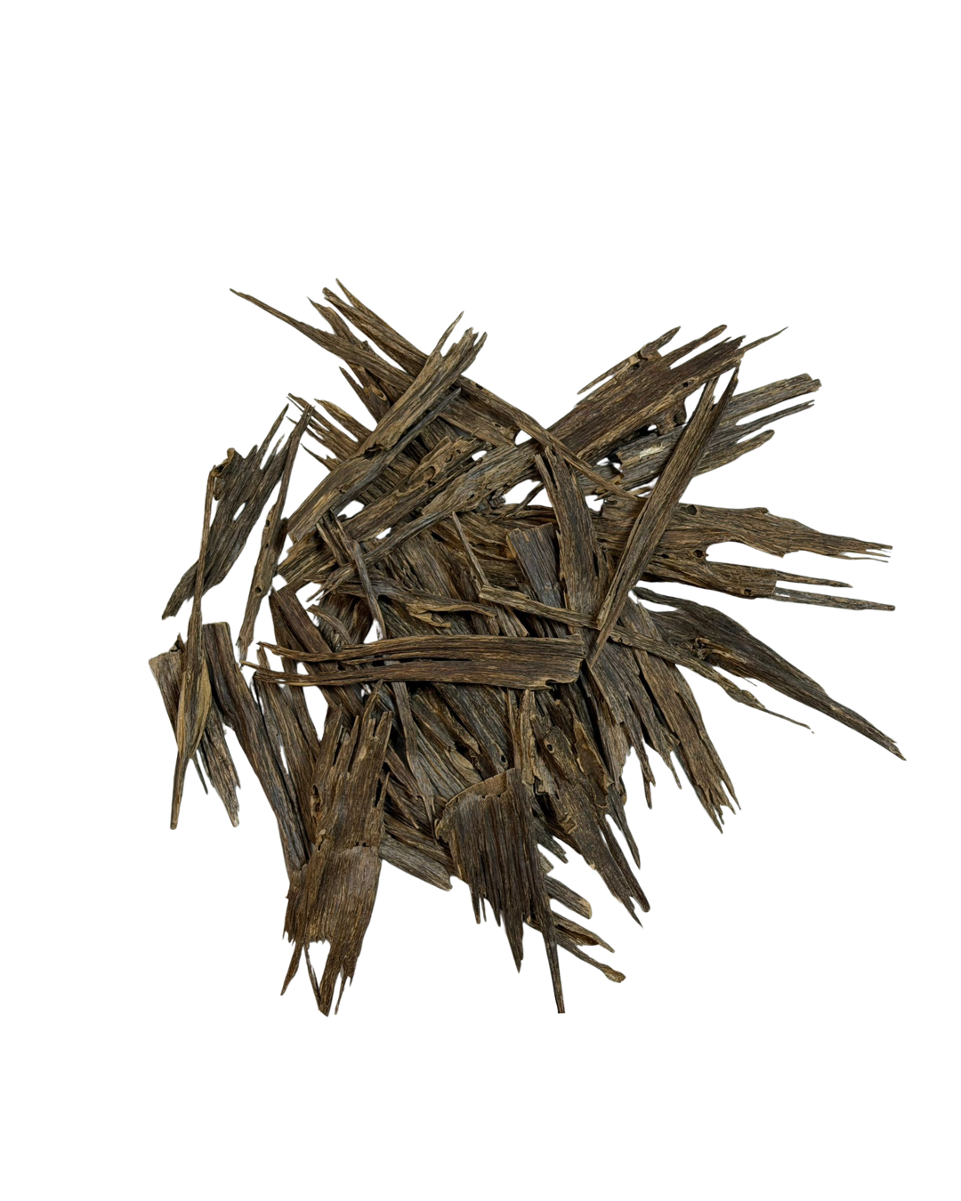 OUD BANGLADESH SAIECO