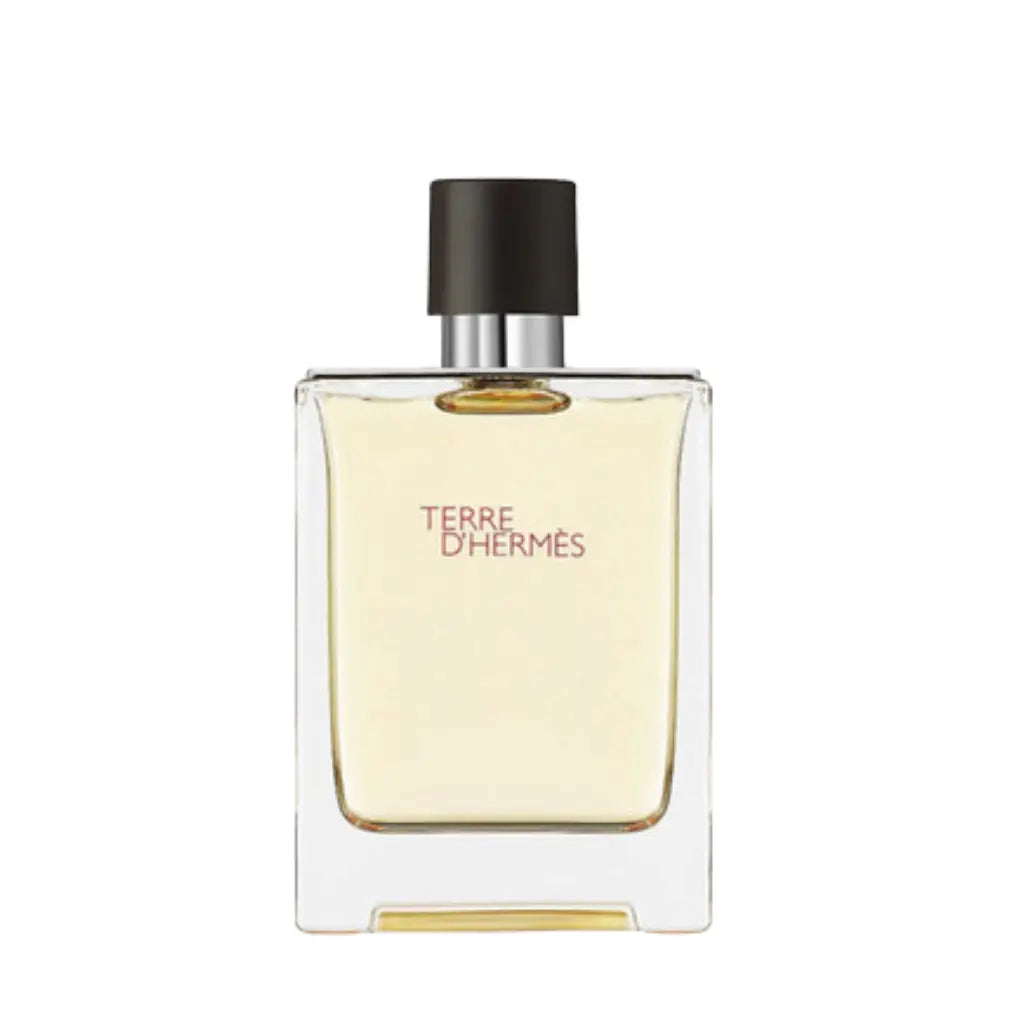 Terre D’Hermes Eau De Toilette 100 ML HERMES
